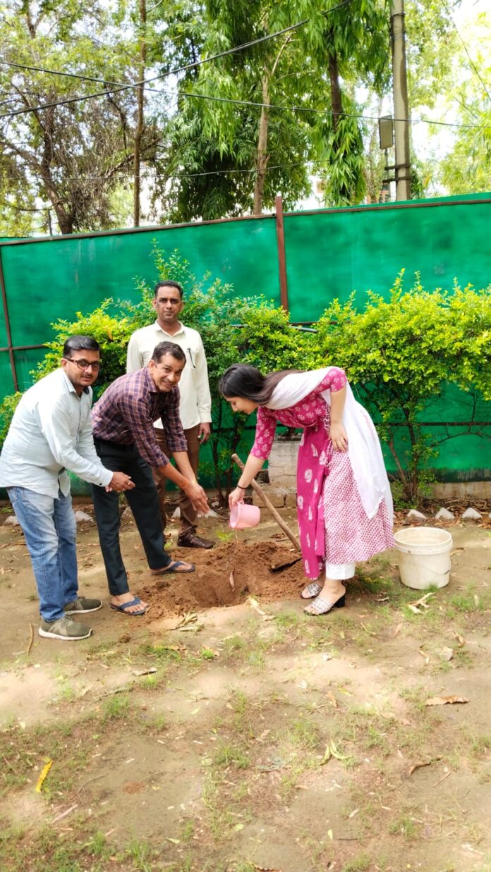 पौधा रोपण करते एसडीएम हर्षित कुमार व उनकी धर्मपत्नी अनूपमा अंजली।