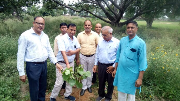 पौधा रोपण करते उप जिला शिक्षा अधिकारी संतोष कुमार चौहान व अन्य