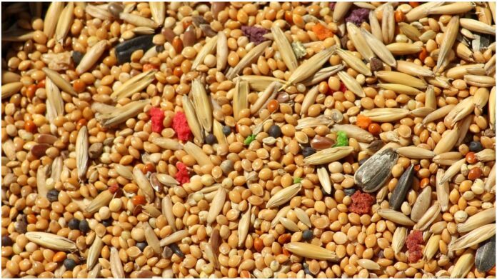 Coarse Grain is Very Beneficial