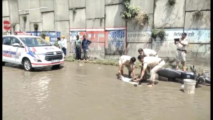 सड़क पर ट्रक ने महिला को कुचला