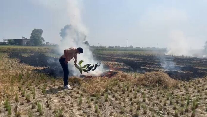 किसानों ने प्रशासन को दिखाया ठेंगा , जिले में छः जगहों पर लगाई पराली में आग