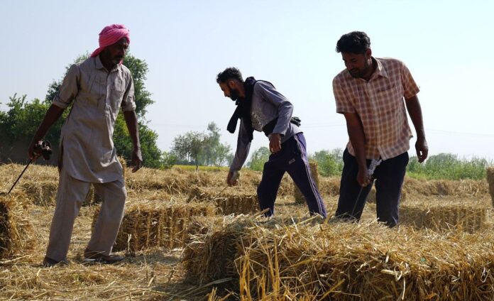 पराली समाधान