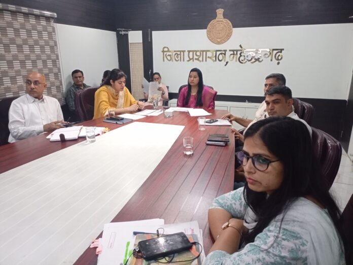  वीडियो कॉन्फ्रेंसिंग के दौरान मौजूद उपायुक्त मोनिका गुप्ता।