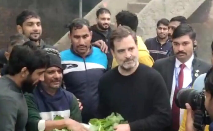 Rahul Gandhi Haryana Visit