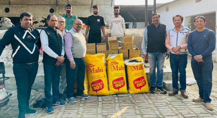 हरा चारा और गुड डालते हुए श्री बाला जी प्रचार मंडल के सदस्य