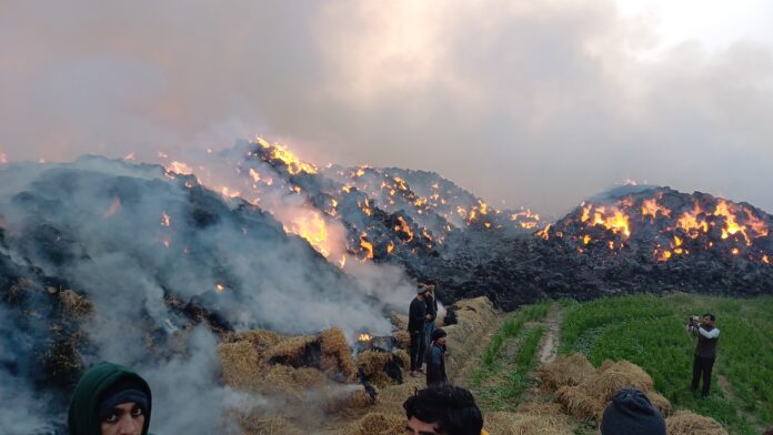 Remains of 1600 acres of stubble burnt to ashes