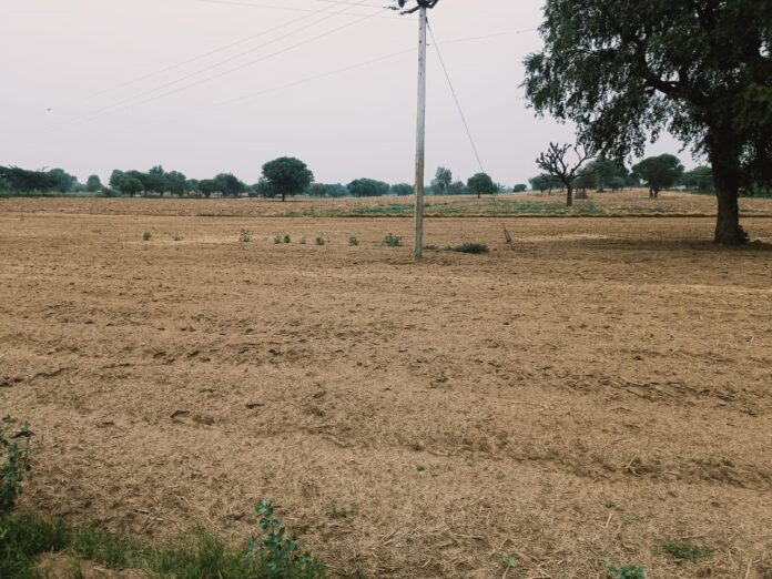Charkhi Dadri News : महंगे भाव के खाद बीज की फसलें तबाही की कगार पर, बरसात के अभाव में बाजरा ग्वार बिजाई ठप्प