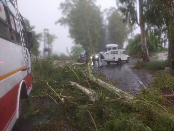 Light rain gave relief to people from the scorching heat