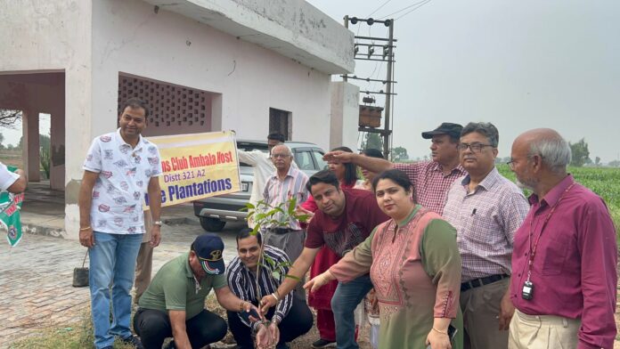 Ambala News : लायंस क्लब अंबाला होस्ट ने अपने नए साल की शुरूआत की पौधरोपण से की
