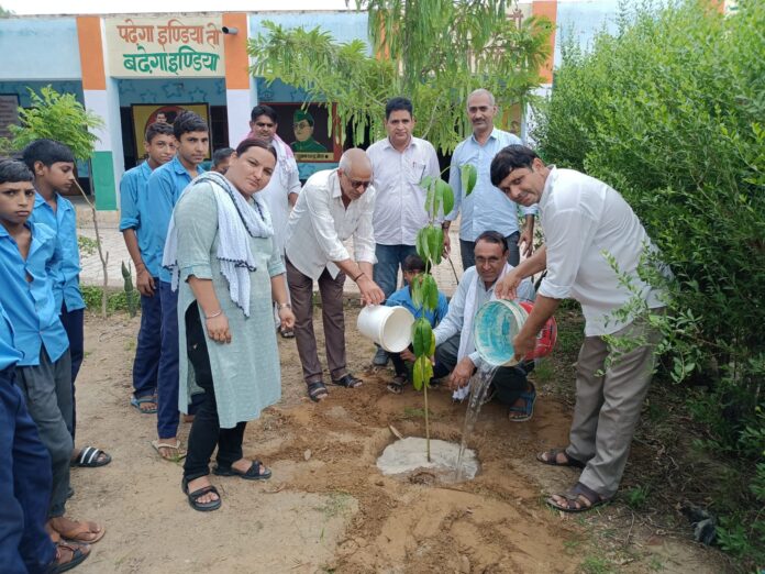 Advocate Mukesh Dhanimahu planted 15 saplings including a Triveni.