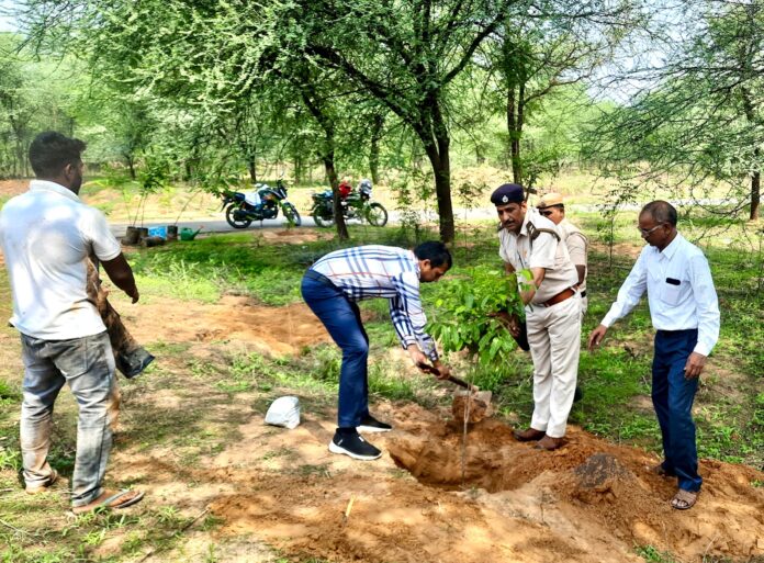Plantation program started under the campaign "One tree in the name of mother"
