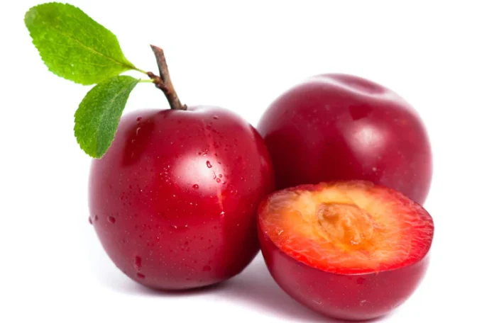 Plum fruit :
