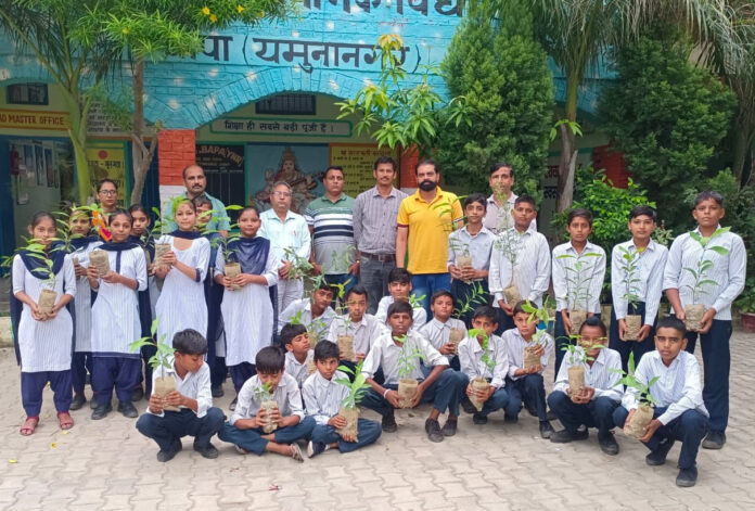 Tree plantation drive organized in school