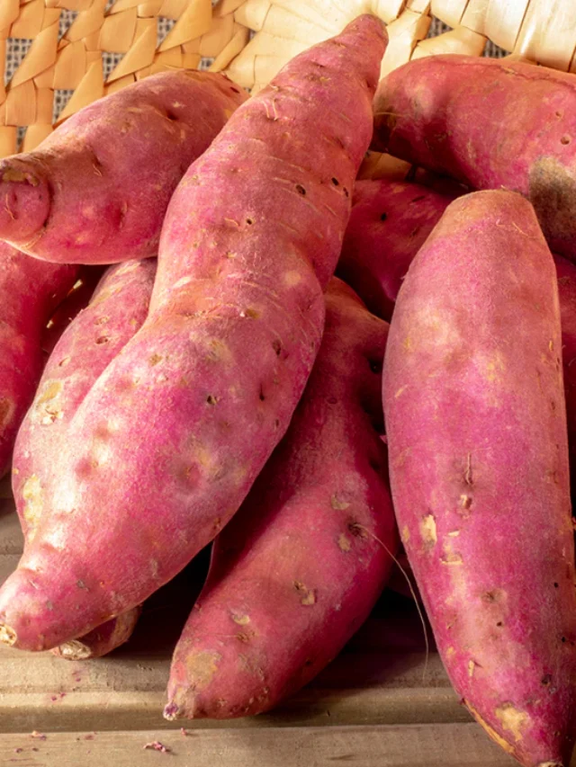 Sweet Potato, the favorite food of winter! You will be surprised to know its benefits
