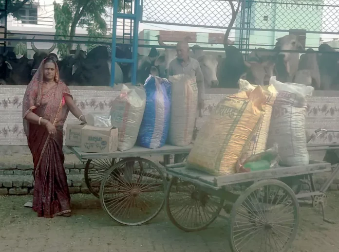 Social worker Nirmala Parmar did cow service on her mother's death anniversary