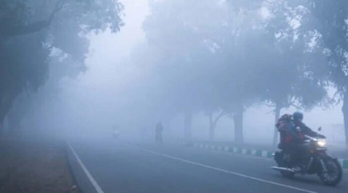 Haryana Weather News: पश्चिमी उत्तरी बफीर्ली हवाओं ने हरियाणा में बढ़ाई ठंड