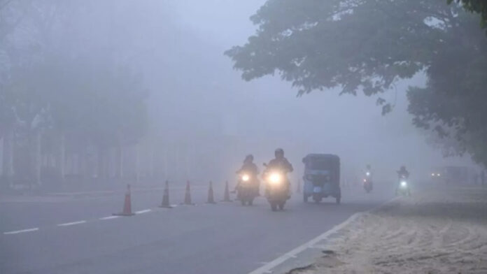 Haryana Weather News: हरियाणा के सात जिलों में शीतलहर का अलर्ट
