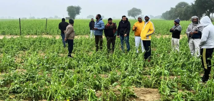 Government should give compensation of Rs 50 thousand per acre for crops damaged due to hailstorm Chiranjeev Rao