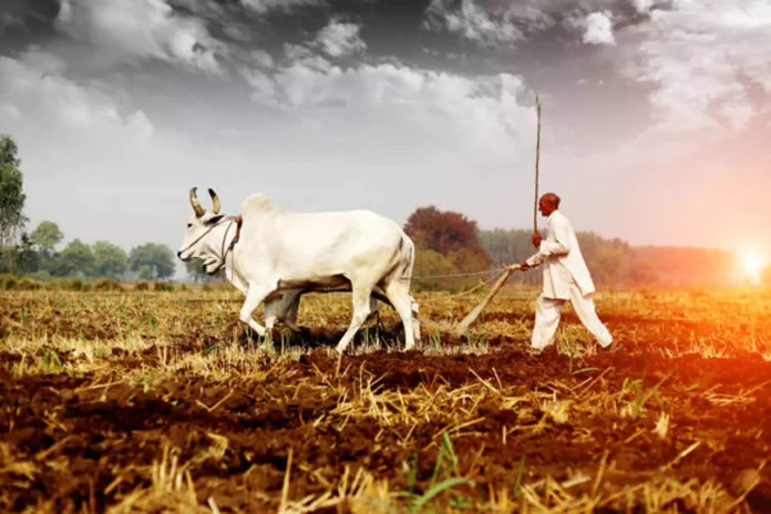 PM Kisan Portal Update : सरकार द्वारा पीएम-किसान पोर्टल में किये कई बदलाव ,जाने जानकारी