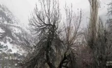 Himachal Pradesh