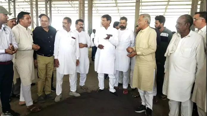 Sirsa News : भाजपा नेता अमीरचंद मेहता ने अनाजमंडी में शुरू करवाई सरसों की फसल की सरकारी खरीद