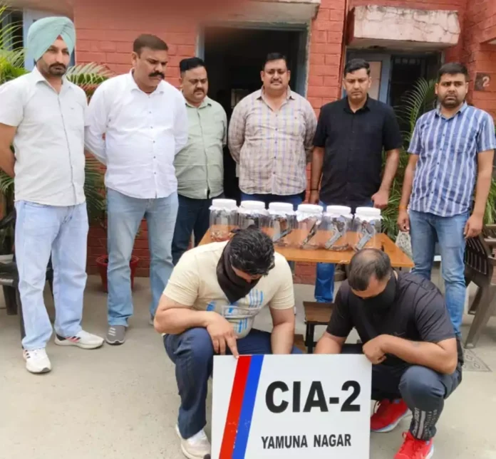 अपराध शाखा - 2 की टीम ने भारी मात्रा में अवैध हथियारों की खेप बरामद