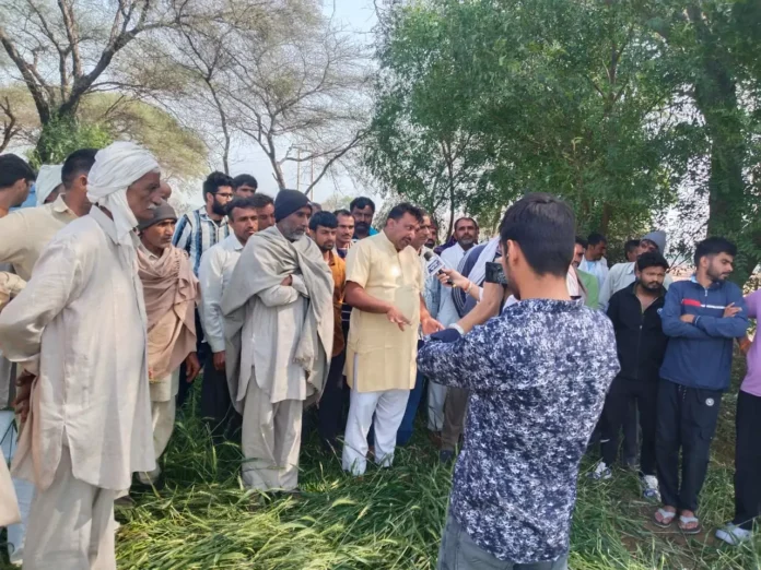 Farmers blocked Badhra Satnali road for special Girdawari of crops damaged due to hailstorm.