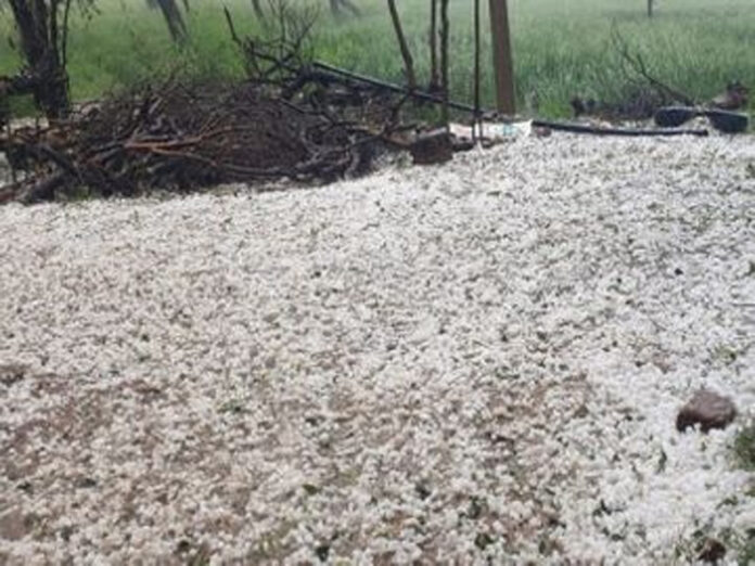 Haryana Weather Update: हरियाणा के फरीदाबाद, रेवाड़ी, चरखी दादरी और नूंह हुई ओलावृष्टि