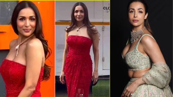 Hip-Hop India 2: मलाइका अरोड़ा ने कंटेस्टेंट की बदतमीजी पर लगाई फटकार, वीडियो हुआ वायरल