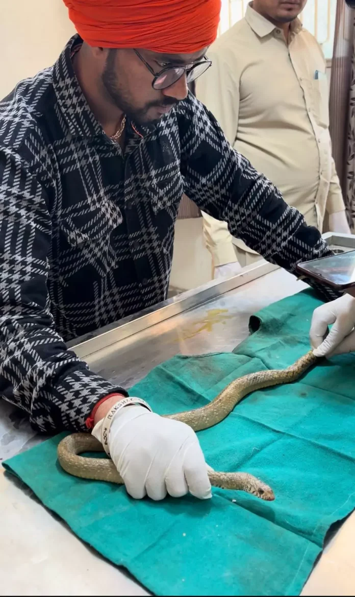 Bhiwani News : घायल जानवर को नजरअंदाज करने की बजाए गौ रक्षा दल भिवानी को करे सूचित : संजय परमार