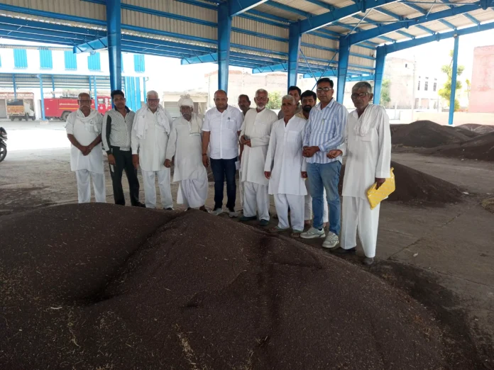 सर्वेयर सहित अन्य दिक्कतों के चलते नहीं हो पाई सरसों की खरीद शुरू