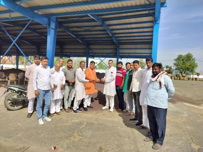 Mustard purchase took place in Badhra grain market, director of Jamindara Marketing Society arrived to take stock