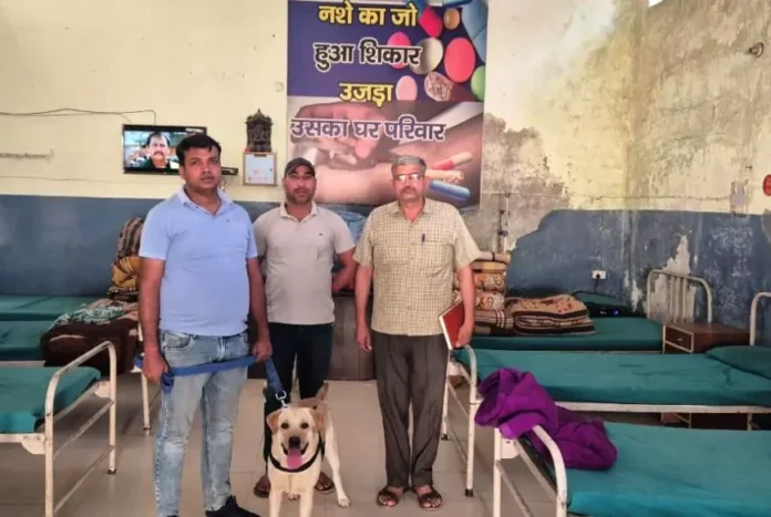 The team of Narcotics Control Bureau conducted a search operation in the de-addiction and rehabilitation center