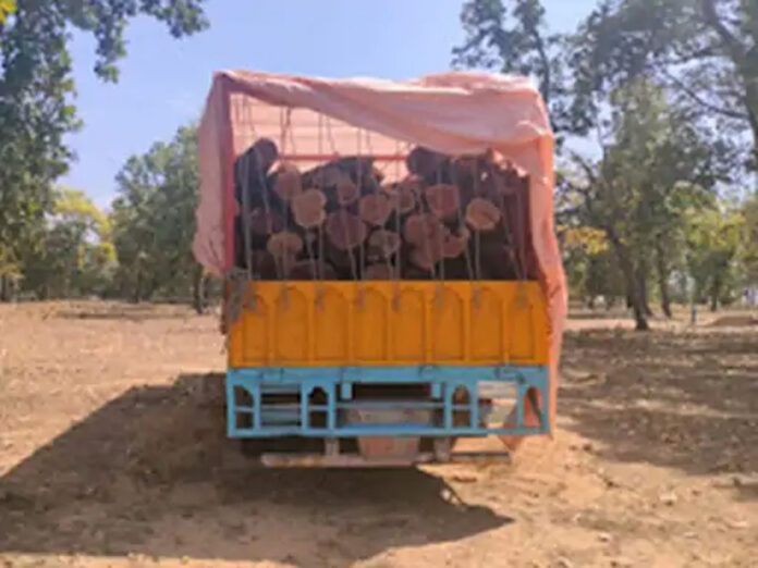 Karnal News: करनाल में खैर की लकड़ी से भरा ट्रक पकड़ा