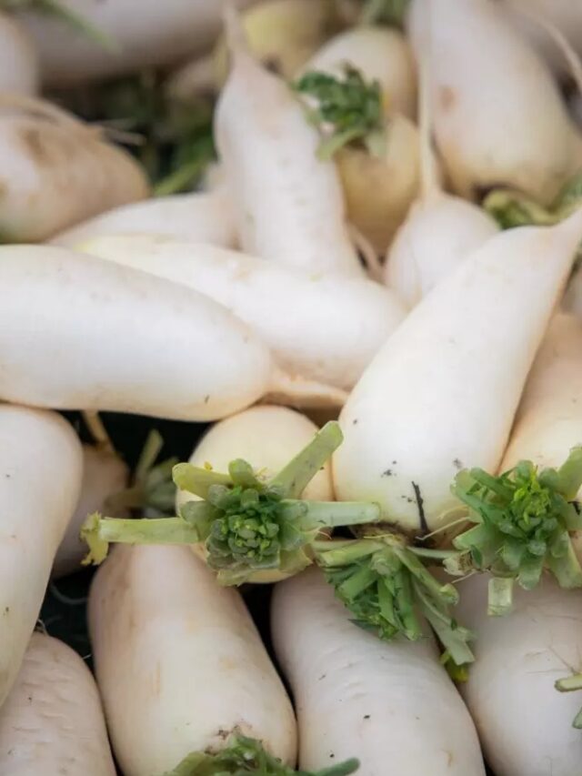 Benefits Of Radish : सेहत का खजाना ये सब्जी! हड्डियों से लेकर पाचन तक को बनाती है मजबूत