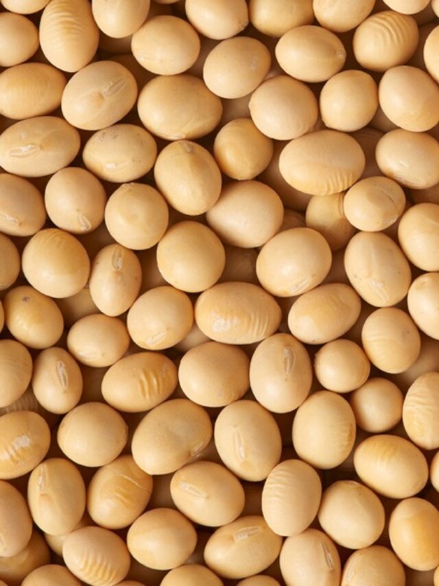 Benefits of Soybeans: डायबिटीज से लेकर हार्ट हेल्थ तक, इस सुपरफूड के अनगिनत फायदे!