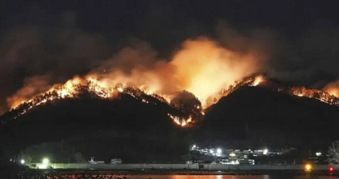 Japan News
