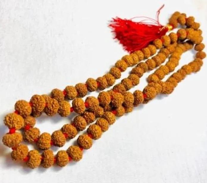 Rudraksha