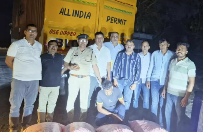 Sirsa News : कंटेनर से करीब 10 लाख रुपए की 2 क्विंटल 510 ग्राम डोडा चूरा पोस्त बरामद