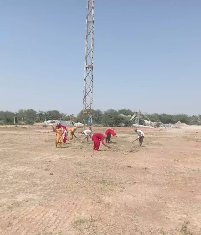 Jind News : जिले की मंडियों में 2285.2 मीट्रिक टन सरसों की खरीद