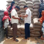 54769 metric tons of mustard and 26707.65 metric tons of wheat were purchased in Rewari mandis
