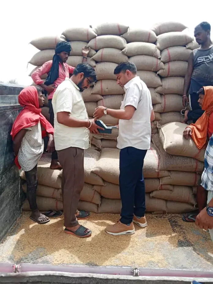 54769 metric tons of mustard and 26707.65 metric tons of wheat were purchased in Rewari mandis