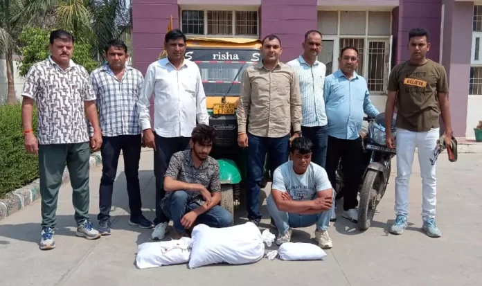 Bhiwani News : भिवानी सीआईए प्रथम ने दो नशा तस्करों से लगभग 11 किलोग्राम गांजा किया बरामद