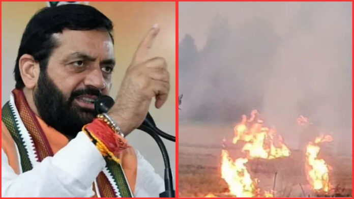 Haryana News: हरियाणा में आग से फसलों के नुकसान पर जल्द मिलेगा मुआवजा