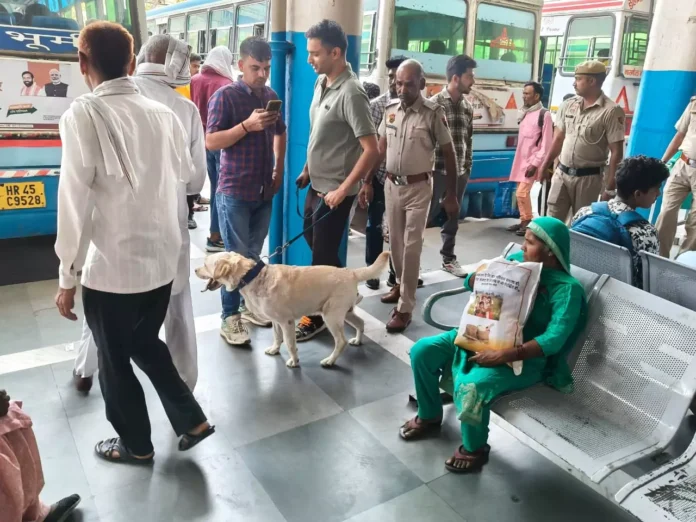 Charkhi Dadri police launched a special checking campaign at public places in the city