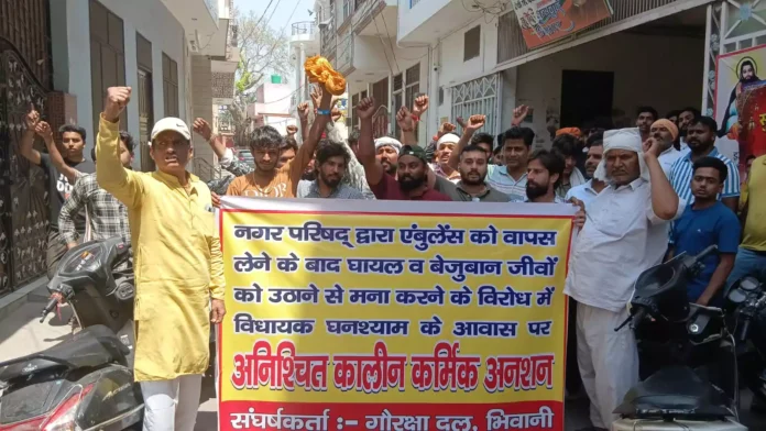 Bhiwani News : घायल गाय व अन्य जानवरों के उपचार करने से मना करने पर क्रमिक अनशन पर बैठे गौरक्षक