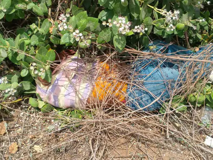 Gurugram News: गुरुग्राम में झाड़ियों में मिली महिला की लाश, हत्या कर फेंका गया शव
