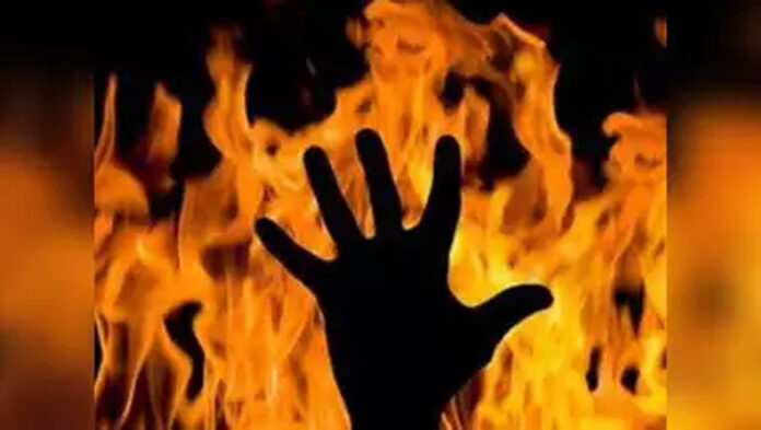 Charkhi Dadri News: चरखी दादरी में राजस्थान के आईएएस अधिकारी के दादा की जलकर मौत