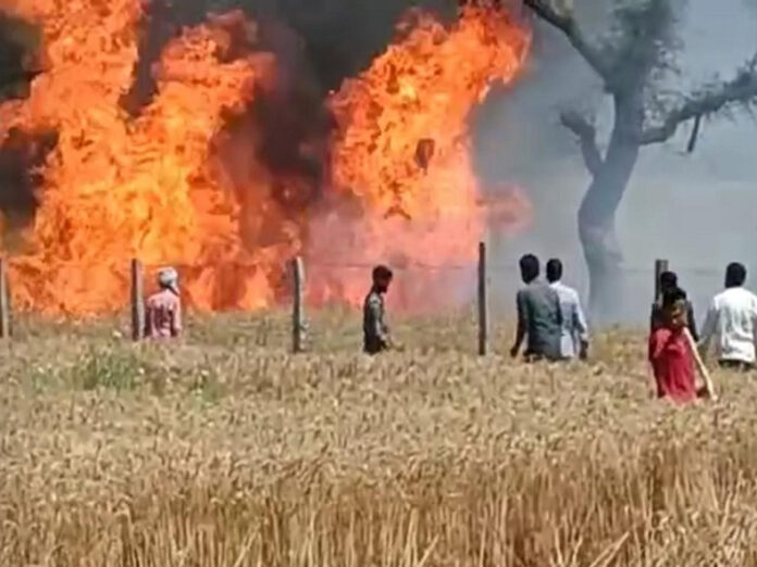Haryana News : हरियाणा में बिजली शॉर्ट सर्किट से जली गेहूं की फसल का नहीं मिल पाएगा मुआवजा