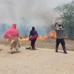 Hisar News: हिसार के अग्रोहा में ऐतिहासिक टीले पर लगी आग